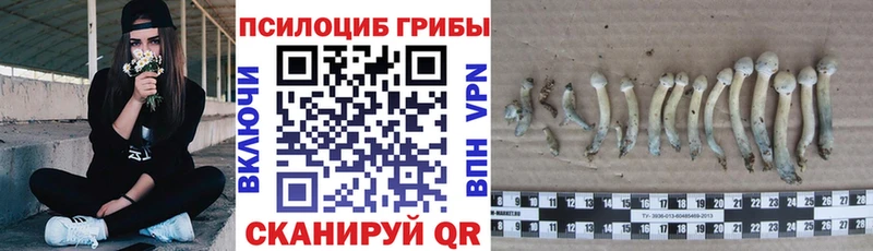 мега ССЫЛКА купить Когалым Галлюциногенные грибы мицелий